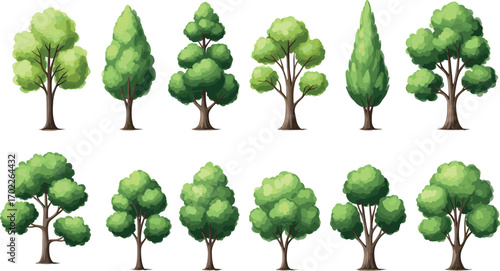 Cartoon-style tree set with diverse foliage shapes and colors, ideal for game design, animation, nature illustrations, and educational materials.
