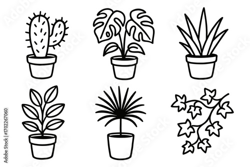 Set of black and white potted plant line drawings for botanical design