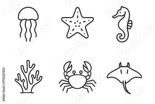 Outlined marine life icons: jellyfish, starfish, seahorse, coral, crab, stingray