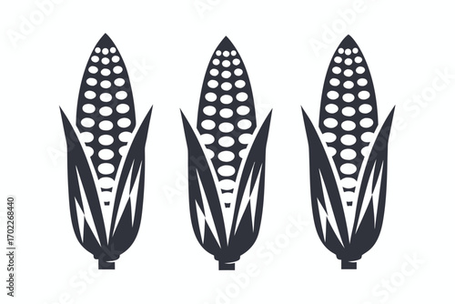 Silhouetted Corn Cobs on White Background of Harvested Maize