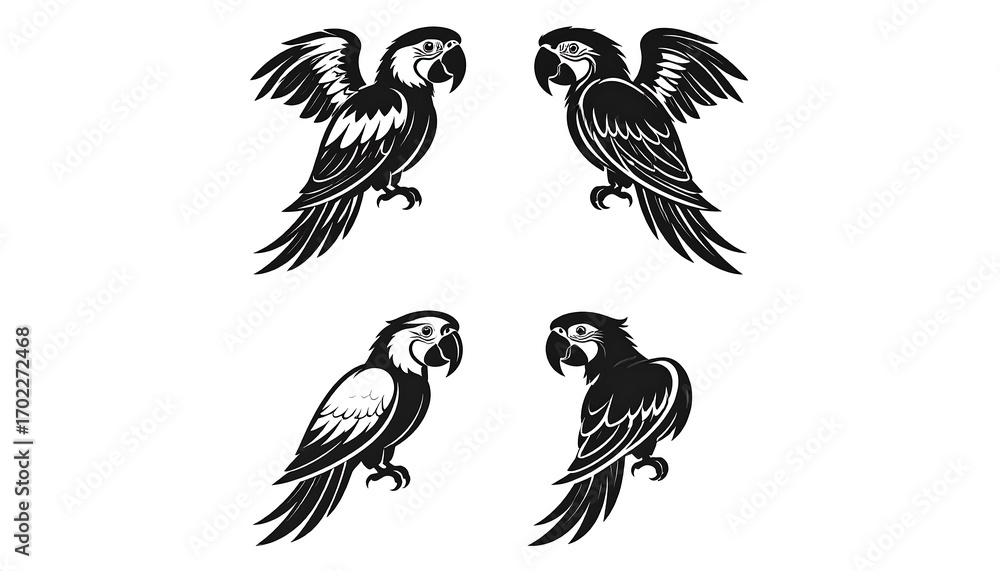 Obraz premium Black and white parrot illustrations