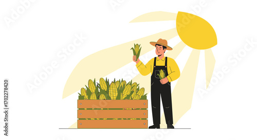 Farmer harvesting corn in a field with a crate full of corns under the sun