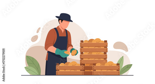 Farmer Sorting Potatoes In Wooden Crates, Harvesting Seasonal Produce In Modern Illustration Style