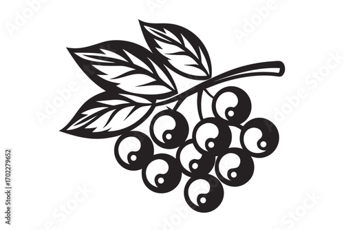 Stylized Rowan Berries with Leaves on White Background Minimalist Art