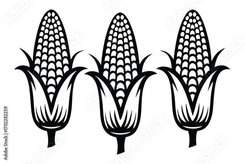 Three Black Corncobs with Husks in Style on White Background