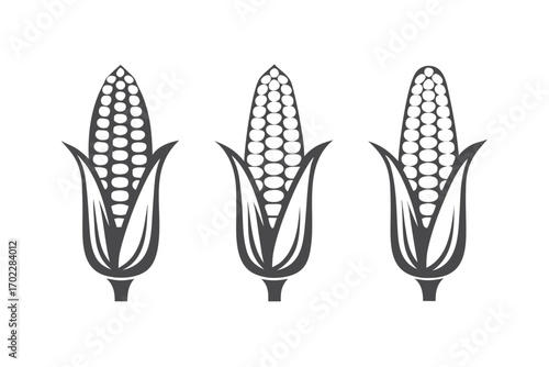Three Corn Cobs Icon, Harvest Season Icon, with White Background