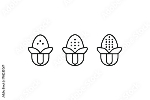 Three Corn Cobs Line Art Icons on a White Background, Isolated Design
