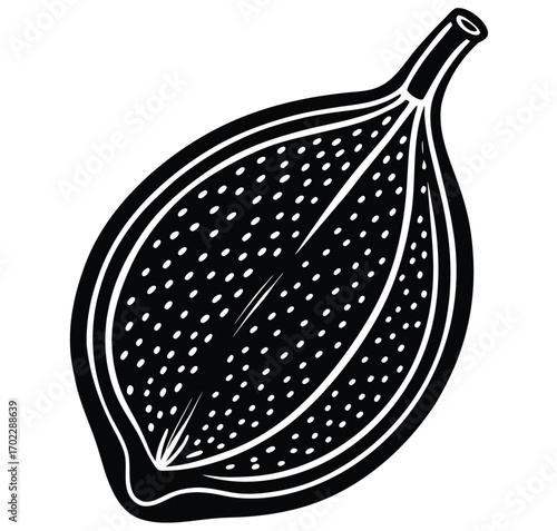 Vector illustration of fig apple and black and white objects