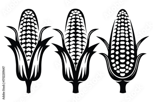 Three Corncobs Illustration, Simple Black Shapes, on White Background