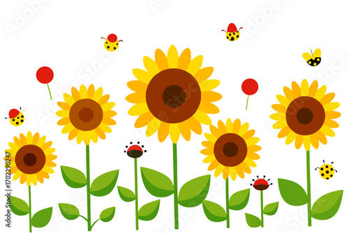 vector illustration of sunflower