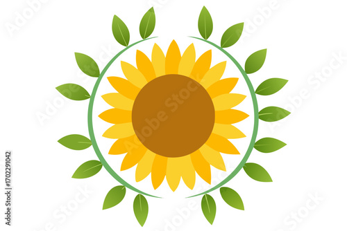 sunflower vector illustration