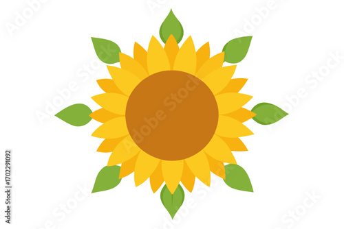 vector illustration of sunflower