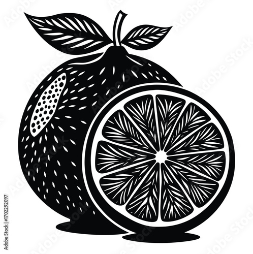 Juicy citrus fruits with slices of lemon and lime vector illustration