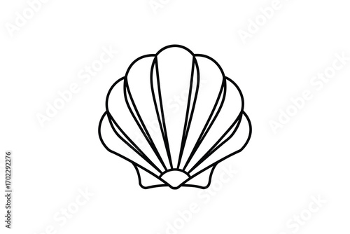 a seashell outline with intricate lines and curves silhouette