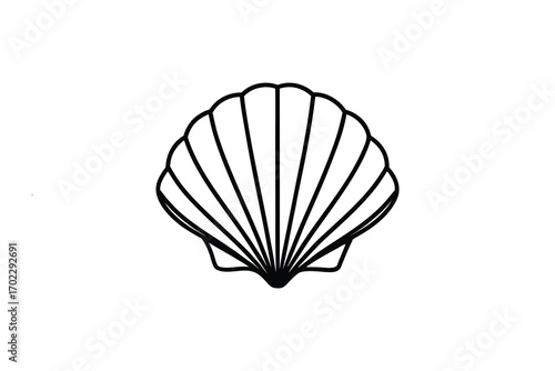 a seashell outline with intricate lines and curves silhouette