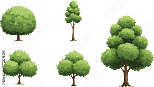 Illustration of five green trees with various shapes and foliage types, showcasing diversity in tree forms on white background.