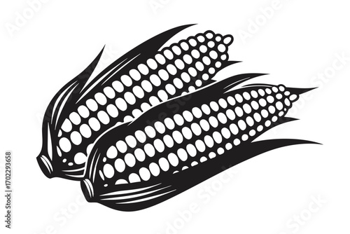 Two Black Corn Cobs with Leaves, Agricultural Harvest Season, Vector, White Background