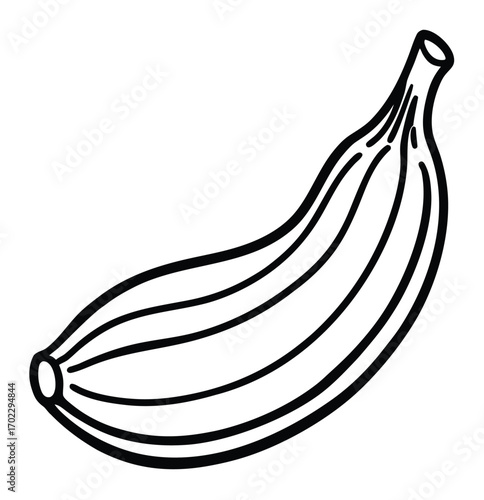 Vector illustration of a banana and an onion isolated on white background