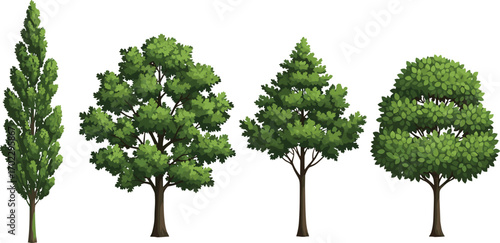 Illustration of four unique green trees with lush foliage, featuring different shapes and detailed leaf textures, perfect for nature designs.
