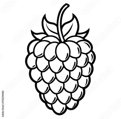 A fresh and ripe raspberry on a green leaf with other autumn berries and grapes in a sweet, healthy bunch