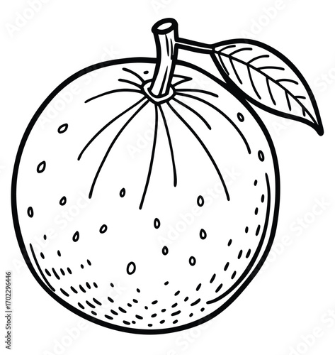 Vector illustration of an autumn fruit and vegetable harvest including an apple, orange, and pumpkin