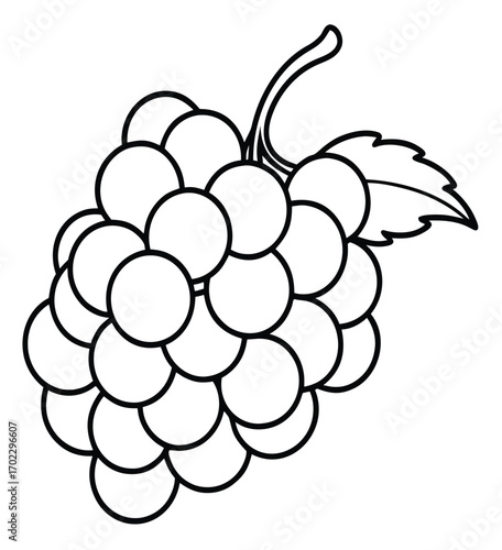 Bunch of ripe grapes with green leaves and vine, a healthy fruit vector illustration