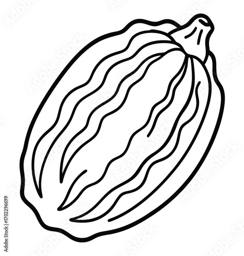 Vector illustration of an onion, a cartoon food drawing for a coloring book