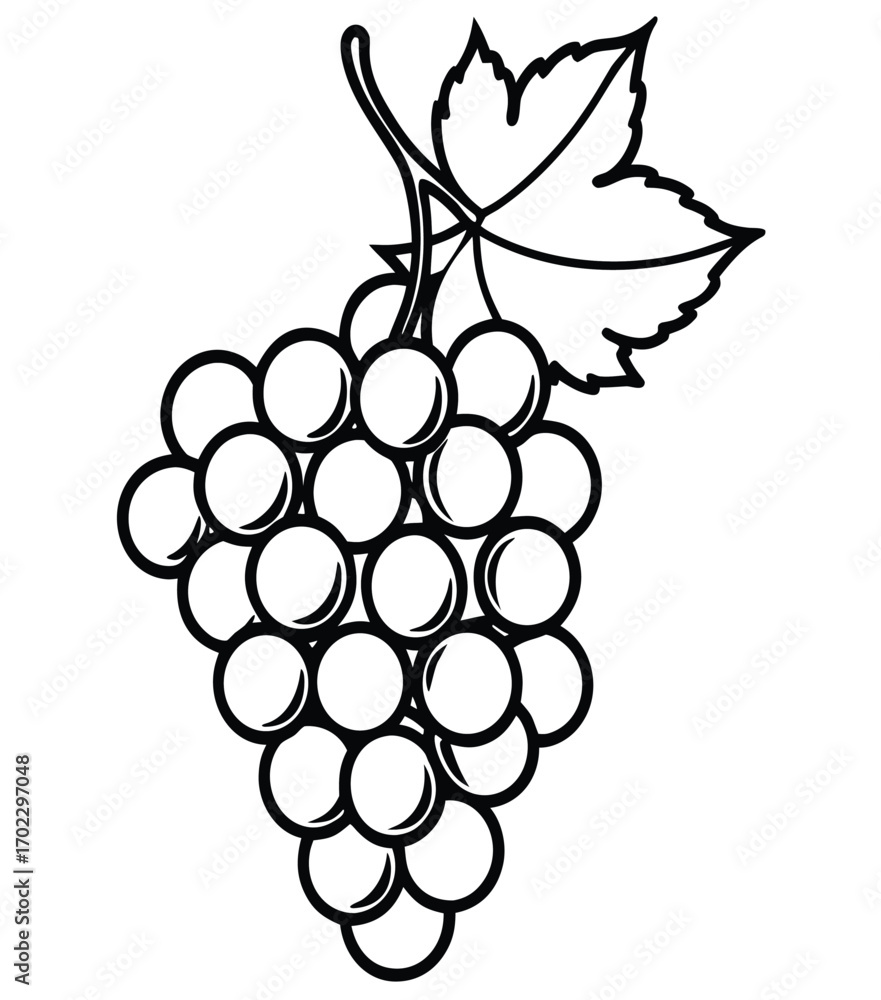 Fototapeta premium A sweet, purple bunch of ripe grapes on a vine with a leaf, a fresh fruit vector illustration