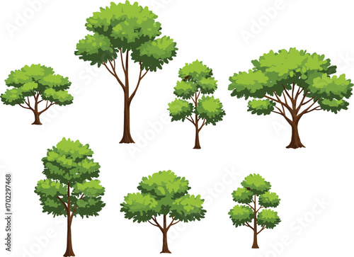 Illustration of multiple bright green leafy trees with brown trunks, displaying diverse shapes and sizes on a clean white background.