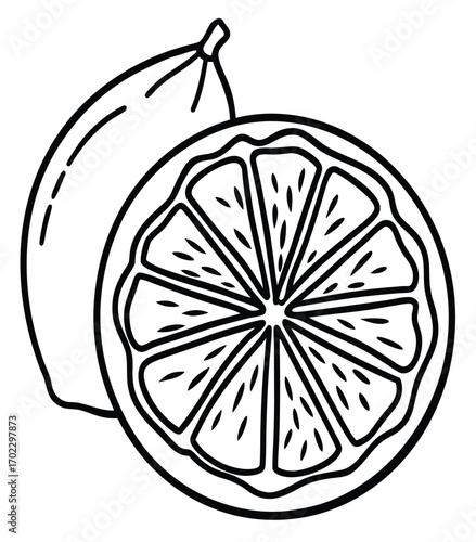 Vector illustration of fresh ripe lemon and lime fruit slices, a healthy citrus food isolated on white