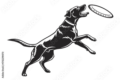 Black dog jumping to catch a frisbee in mid air