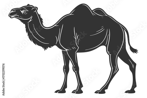 Stylized black and white illustration of a dromedary camel