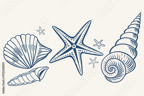 Collection of hand drawn blue seashells and starfishes on a light background