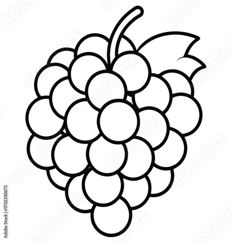 Vector illustration of a bunch of ripe purple grapes with leaves on a vine in a vineyard setting