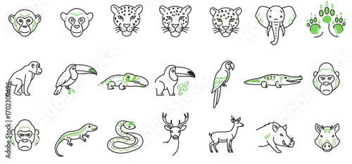 A diverse set of jungle and wild animal line art icons isolated on a white background.