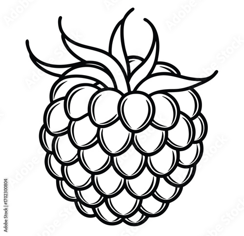 Vector illustration of raspberry blackberry and apple fruits with leaves and floral elements