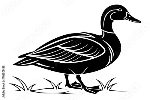 Black silhouette of a mallard duck standing in grass