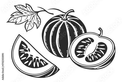 Black and white illustration of a whole watermelon a sliced watermelon and a leaf on a vine