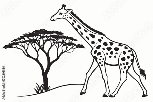 Stylized illustration of a giraffe and an acacia tree in black and white