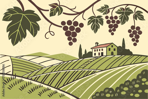 Vineyard landscape with farmhouse and grapevines in the foreground