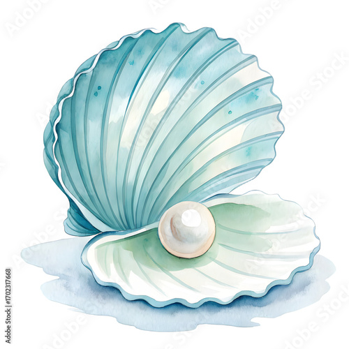 Beautiful watercolor painting of an open seashell with a pearl