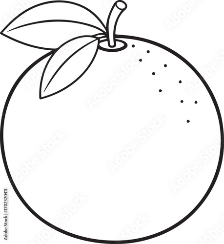 orange fruit outline vector illustration line art