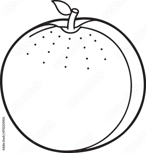 orange fruit outline vector illustration line art