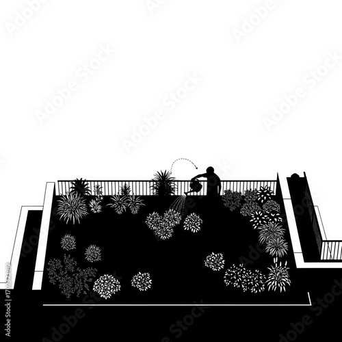 Gardener watering plants on a raised garden bed silhouette isolated on white background