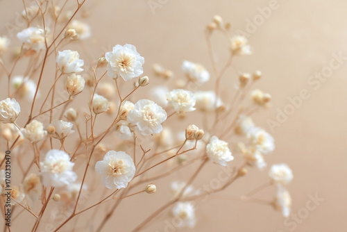 Wallpaper Mural Delicate baby's breath arrangement in soft light, showcasing ethereal beauty Torontodigital.ca