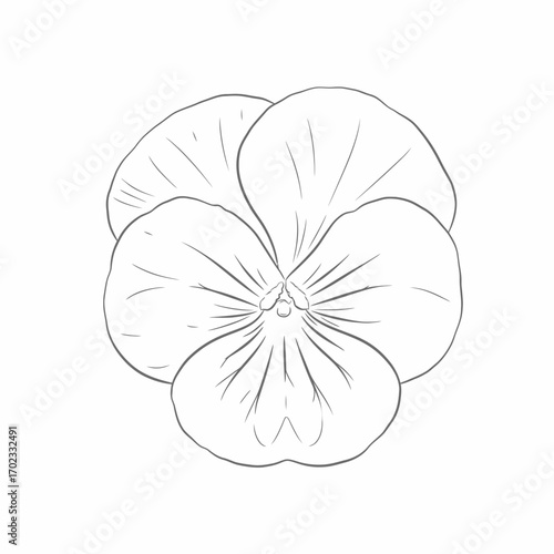A detailed black and white line drawing of a pansy flower, showcasing its distinct petals and central structure.
