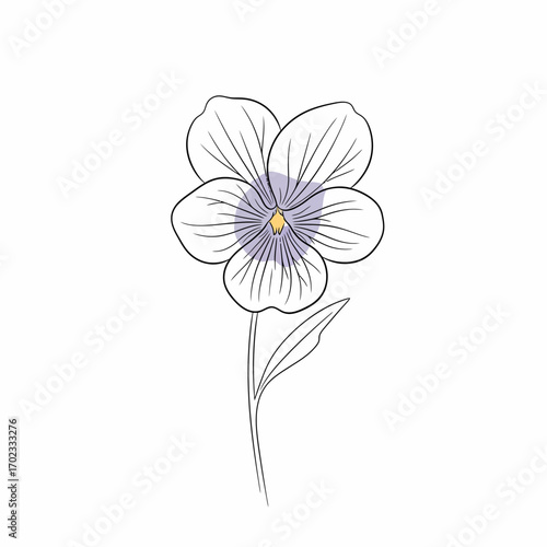 A delicate line art illustration of a single pansy flower with subtle purple and yellow accents, on a white background.