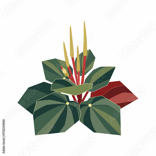A stylized illustration of a Peperomia plant with striped green leaves and yellow flower spikes.