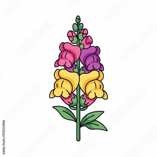 A colorful illustration of a snapdragon flower stalk with pink, purple, and yellow blossoms and green leaves, depicted in a cartoon style.