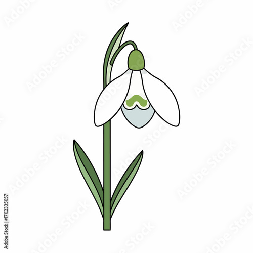 Simple line art illustration of a single white snowdrop flower with green stem and leaves, symbolizing early spring.